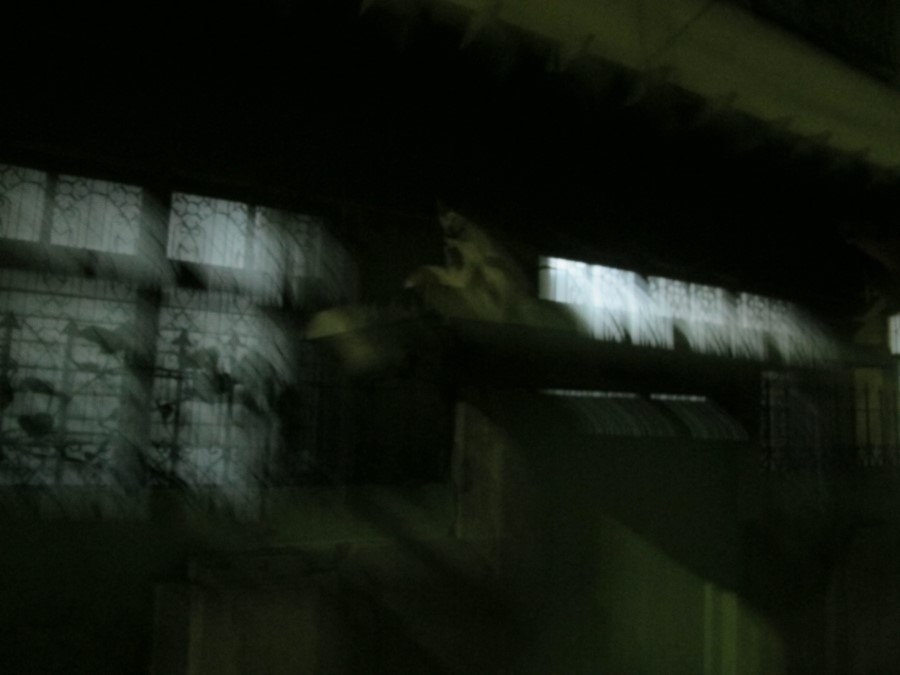 어두운 밤, 창문과 건물의 실루엣이 흔들린 빛의 잔상으로 남은 추상적인 야경