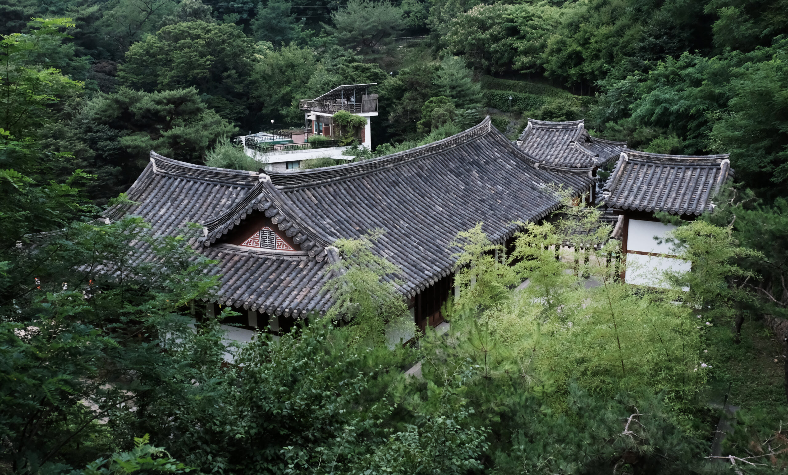 울창한 숲에 둘러싸인 청운문학도서관의 고즈넉한 한옥 기와지붕들이 내려다보이는 전경