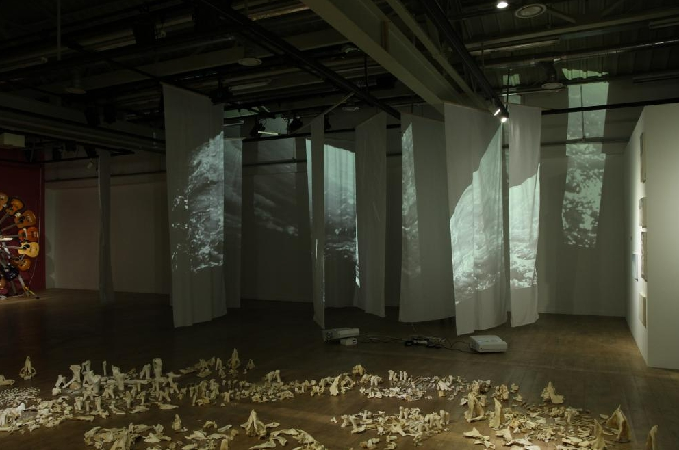 하얀 천들이 숲처럼 매달려 있고, 바닥의 뼈 조형물과 영상 프로젝션이 몽환적으로 어우러진 전시장 공간.