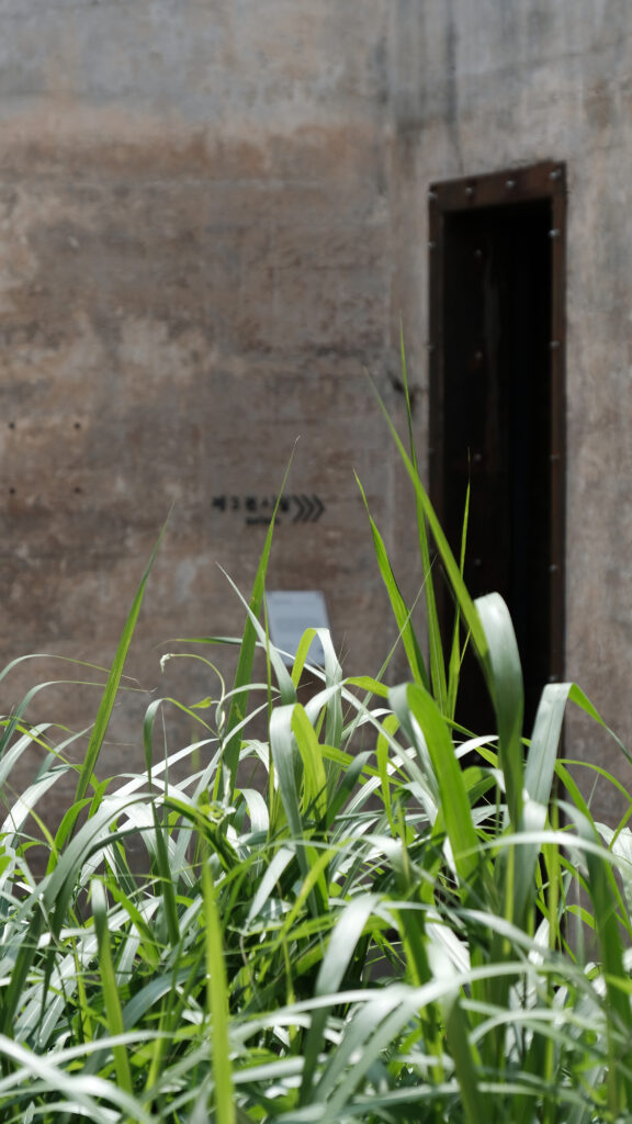 거친 콘크리트 벽면과 대비되는 무성한 풀잎들 너머로 보이는 윤동주문학관 '닫힌 우물' 전시실의 어두운 입구