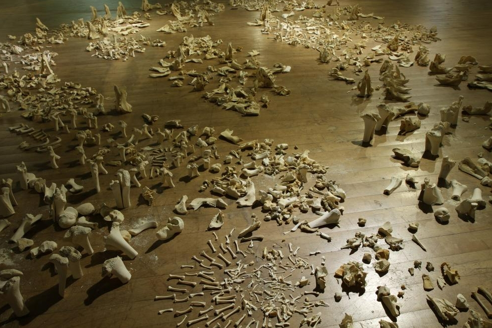 나무 바닥 위에 하얀 동물의 뼈들이 무질서한 듯 정교하게 산재해 있는 설치 작품 상세 사진.