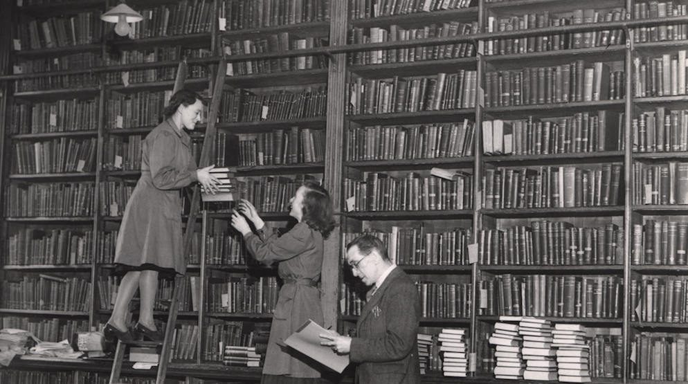 #10. 수장고를 열다: 미완의 기록을 전시로 승격시키는 법