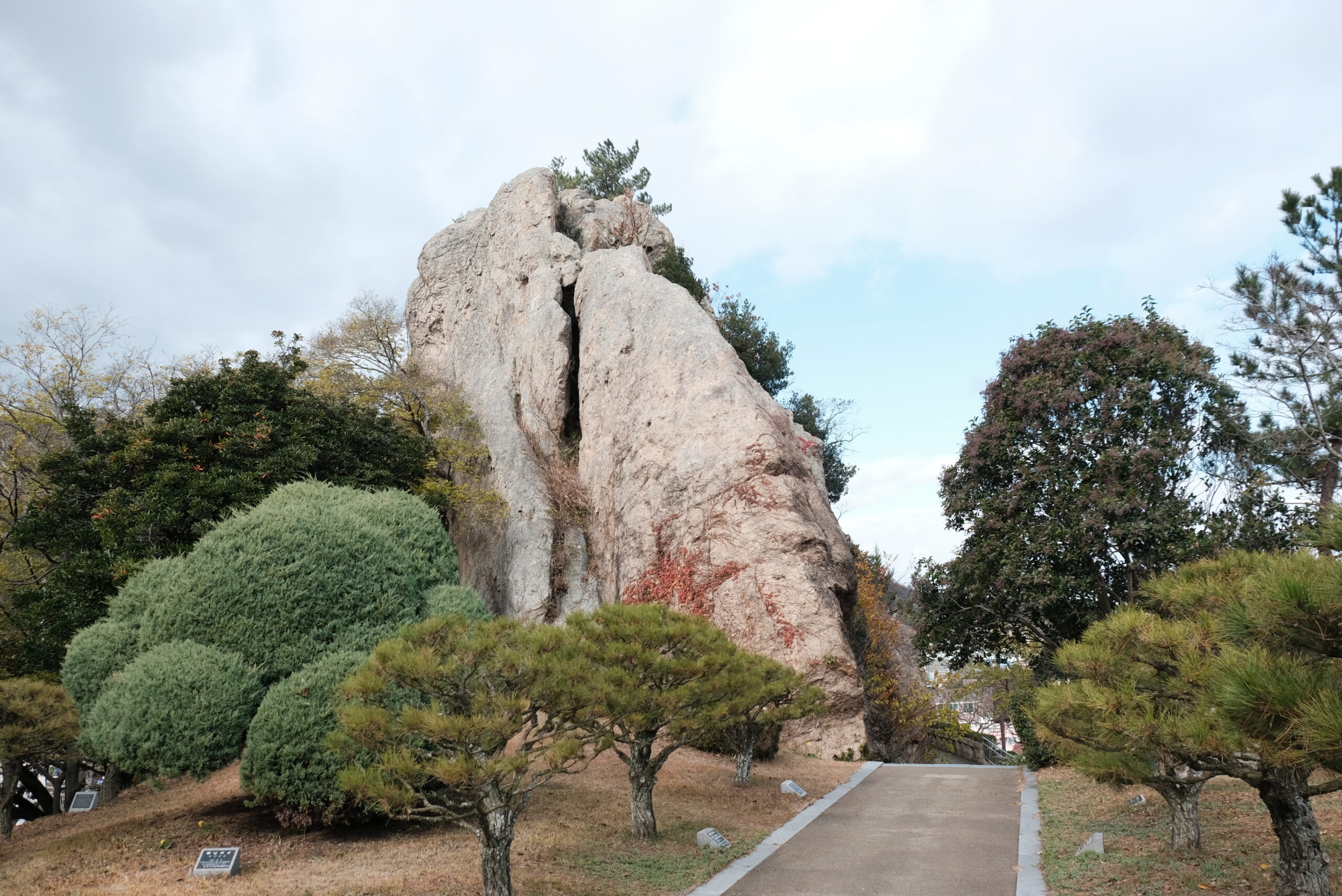 목포 유달산 입구에 우뚝 솟은 거대한 바위 봉우리, 노적봉의 위용. 임진왜란 당시 이순신 장군이 이 바위를 짚단으로 덮어 마치 엄청난 양의 군량미가 쌓인 것처럼 위장함으로써 왜군의 사기를 꺾었다는 역사적 일화가 깃들어 있다. 세로로 갈라진 바위의 거친 질감과 주변의 푸른 소나무가 어우러져 영험한 기운을 준다.