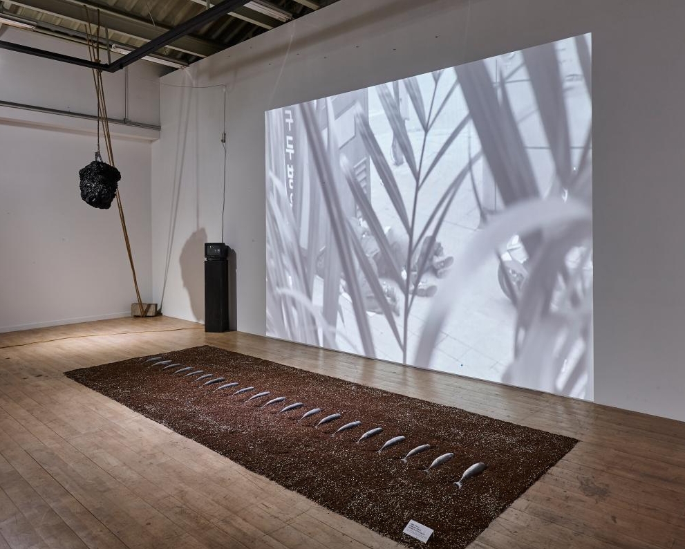 <레몬향기를 맡고 싶소> 어쩌면 피상적일 죽음에 대한 담론